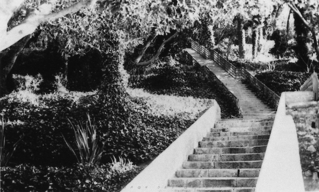 ORAN 02323.jpg